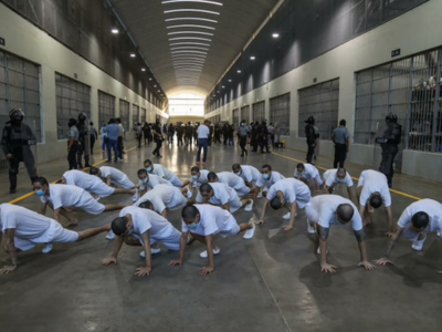 Construction Equipment